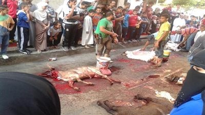 التموين: 5 آلاف جنيه غرامة فورية للذبح بالشوارع