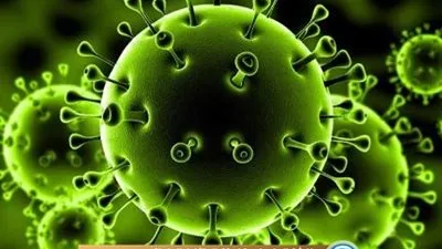 مدير العيادات الخارجية لمستشفيات جامعة القاهرة يزف بشرى سارة بشأن كورونا