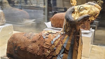 شاهد.. القطع الأثرية وقصة عرض متحف شرم الشيخ قبل افتتاحه