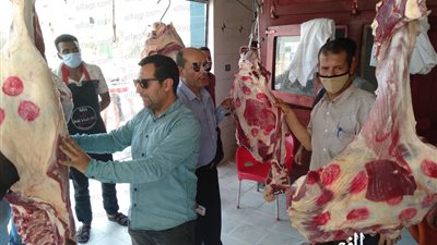 بيطري كفر الشيخ: ضبط 280 كيلو لحوم مذبوحة خارجة المجازر قبيل عيد الأضحي