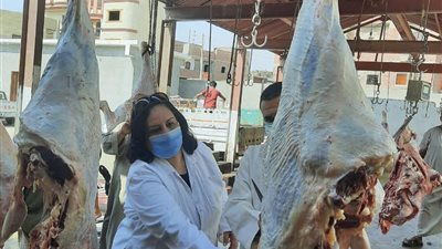 محافظ الفيوم: رفع جاهزية المجازر استعدادا لاستقبال الأضاحي طوال أيام العيد