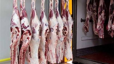 رقم قياسي.. الزراعة: ذبح 100 ألف رأس ماشية خلال يوليو بمجازر القاهرة