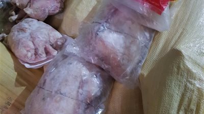 الصحة: ضبط وإعدام 118 طن أغذية ولحوم فاسدة بالمحافظات 