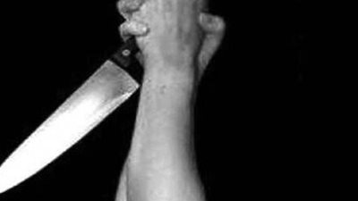 جرائم في عيد الأضحى.. شاب يضحى بوالدته وشقيقه بالدقهلية