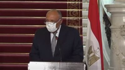 بيان مهم من الخارجية بشأن انتخابات مجلس الشيوخ للمقيمين بالخارج 