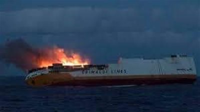 الأزهر يدين الهجوم على مخيم للاجئين بالكاميرون 