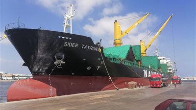 تداول 28 سفينة حاويات بميناء الإسكندرية 