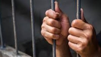 المؤبد لسيدة بكفر الشيخ هتكت عرض شقيقين وحرقت أعضائهما التناسلية