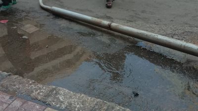 رغم تحذيرات محافظ البحيرة.. سقوط عمود إنارة بدمنهور بسبب لافتات الدعاية الانتخابية (صور) 