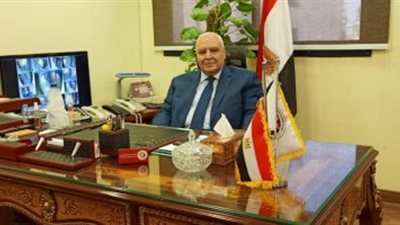 بيان مهم للمصريين بالخارج بشأن انتخابات مجلس الشيوخ