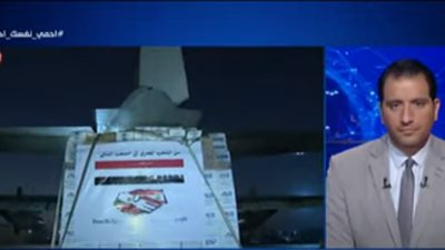 سفير مصر بلبنان: مساعدات مصر لبيروت تتضمن أدوية وأطقم طبية ومواد غذائية (فيديو)