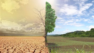 تفاصيل خطة الحكومة لمواجهة ظاهرة الاحتباس الحراري (فيديو)