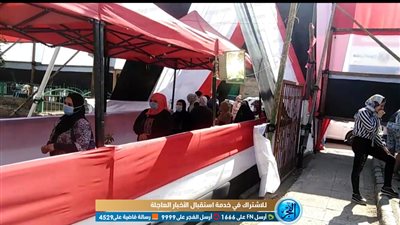 انتخابات مجلس الشيوخ.. إقبال كثيف في أول يوم من فتح اللجان بمدرسة انصاف بالزيتون 