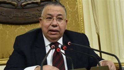 وكيل مجلس النواب: المشاركة بانتخابات 