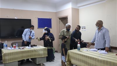 إقبال الناخبين على لجان قنا قبل غلق باب التصويت