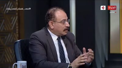 محلل سياسي: مصر نجحت بمهارة في اليوم الانتخابي الأول