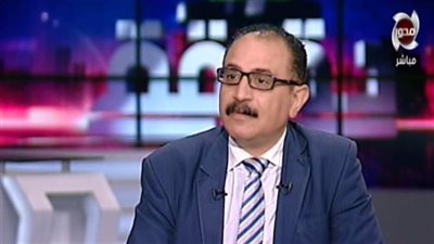 أستاذ علوم سياسية: مجلس الشيوخ ليس بروفة للنواب