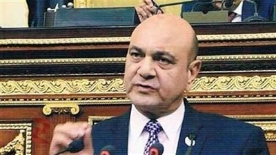 برلماني يطالب بوضع صالات الجيم تحت الرقابة الطبية (فيديو)