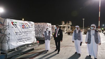 الإمارات ترسل مساعدات طبية إلى دول جزر 
