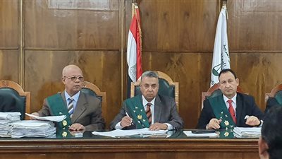 الإدارية العليا توجب إعادة محاكمة 4 أساتذة قذفوا رئيس أكاديمية الفنون بالطماطم والقُلل