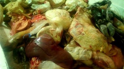 ضبط 670 كيلو لحوم غير صالحة للاستهلاك الآدمي بالفيوم 