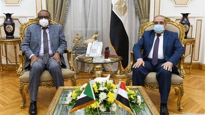 وزير الإنتاج الحربي يبحث التعاون المشترك مع مدير الصناعات الدفاعية السودانية