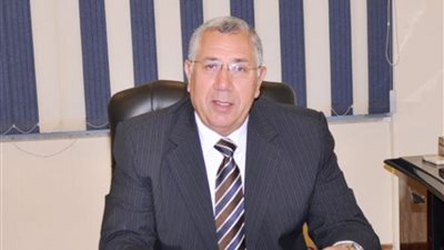 ابتكار مصري جديد يحل مشكلة المياه في زراعة الأرز (فيديو)