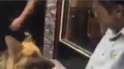 تعرف على عقوبات 