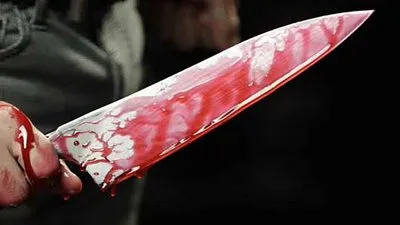 تأجيل محاكمة ربة منزل وزوجها قتلا سيدة وابنتها بمدينة نصر