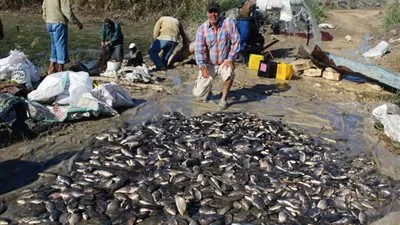 رئيس مدينة بني عبيد عن ضبط مزرعة سمك مخالفة: 