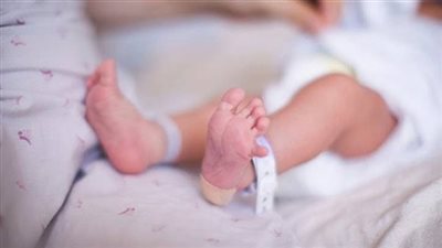 القصة الكاملة لاتهام إيطالية بتزوير إخطار ولادة بالغردقة