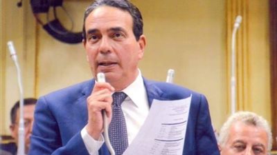 برلماني: مصر تدخل السباق العالمي لمواجهة كورونا