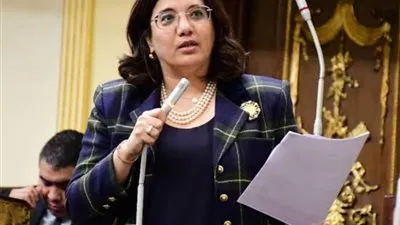 برلمانية تتقدم بطلب إحاطة بشأن تكرار اختراق المواقع الإلكترونية الحكومية