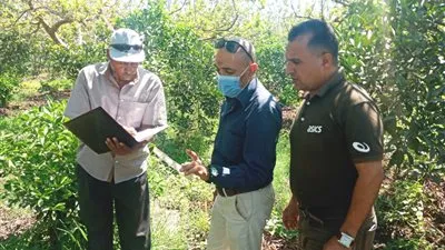 جهود مكثفة لمكافحة ذبابة الفاكهة بالبحيرة (صور)