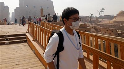 شركات السياحة بالأقصر: 