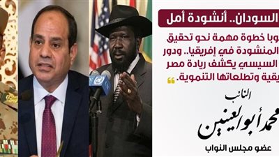 أبوالعينين: دور مصر في اتفاق السلام بالسودان يعكس ريادتها التاريخية