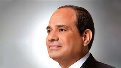 السيسي يبحث قضية سد النهضة مع الممثل الأعلى للاتحاد الأوروبي