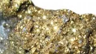 ضبط شخص بحوزته 14 جوالا تحتوي على خام الذهب بالبحر الأحمر