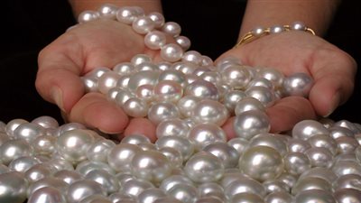 ارتفاع صادرات اللؤلؤ المصري للإمارات إلى 212 مليون دولار