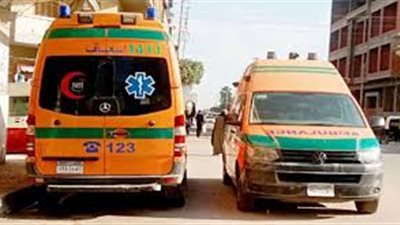 إصابة جزار بطلق ناري في مشاجرة بالمنيا