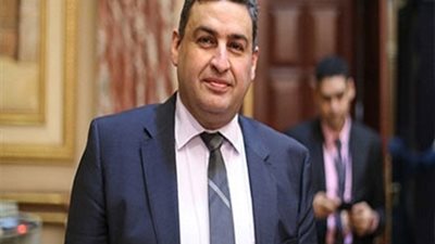 برلماني مناشدا المواطنين سرعة التصالح: الدولة عازمة في القضاء على مخالفات البناء