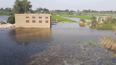 رئيس كوم حمادة عن 