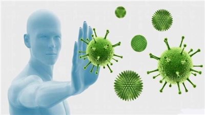 نصائح خاصة.. أطعمة تعزز جهازك المناعي لمحاربة كورونا