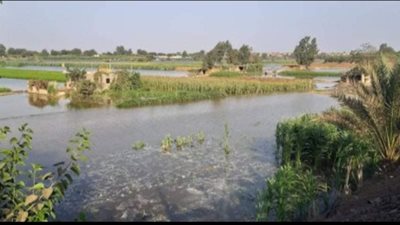 محافظ البحيرة: وضع المزارعين بمنطقة 