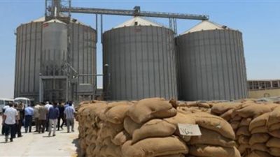 خبير عسكري: الجيش قادر على العمل خارج الحدود لفترة زمنية طويلة