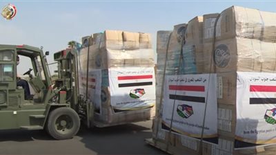 مصر تواصل فتح الجسر الجوى لإرسال المساعدات العاجلة للأشقاء بالسودان (فيديو)