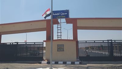  جهاز السادات: تنفيذ أعمال الزراعة والتشجير بسوق الجملة