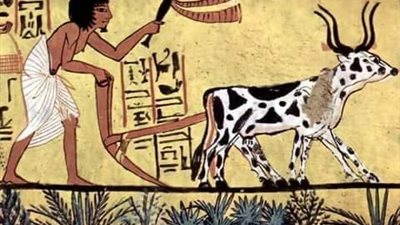 الفلاح المصري القديم.. تعرض للأخطار ولم يتملك الأرض