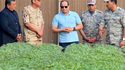 عقب توجيهات السيسي.. 9 معلومات عن مشروع 