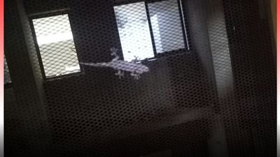 صور صادمة من داخل مستشفى المنيا الجامعي.. ووالدة مريض تستغيث 